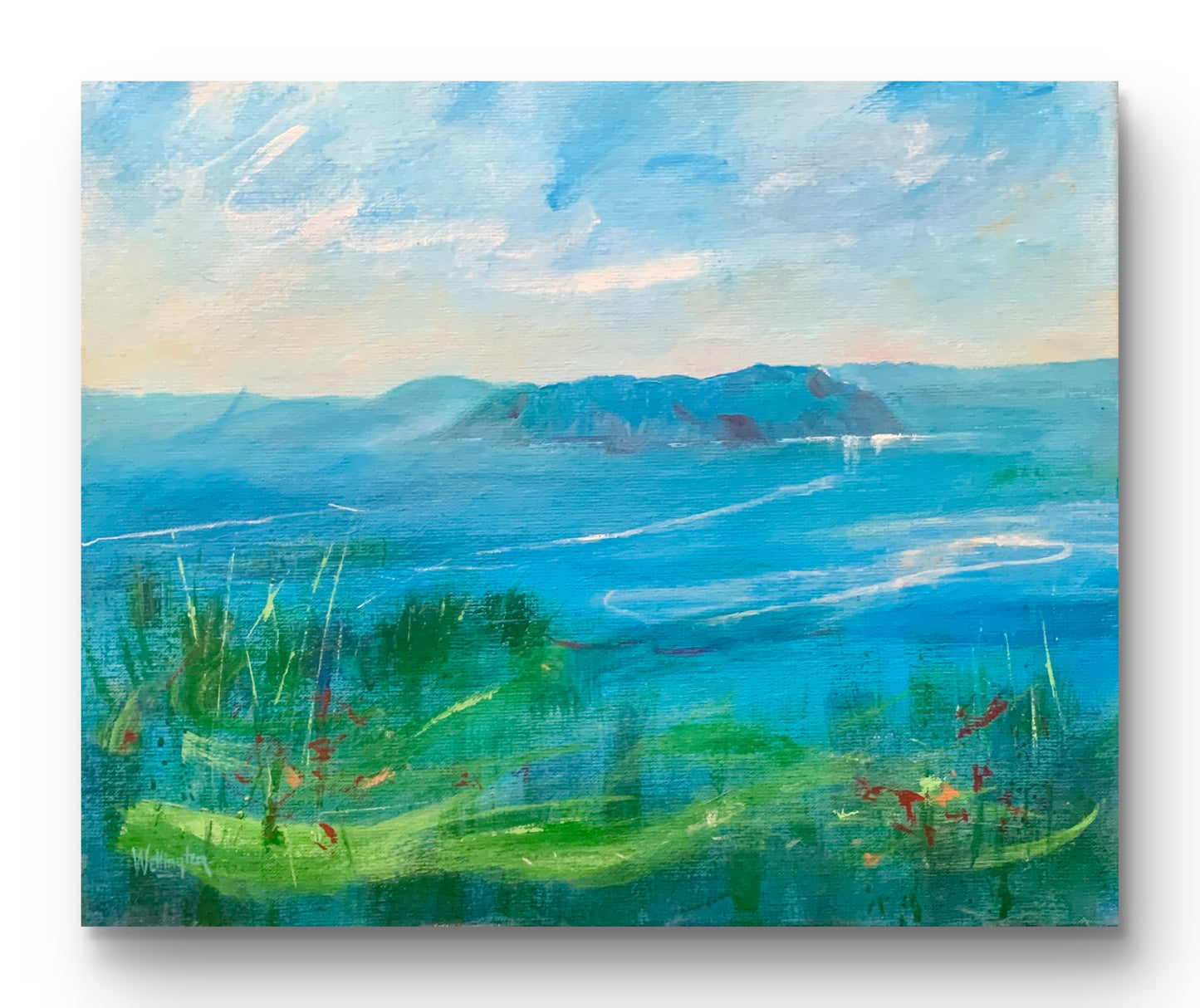Skomer in Blue