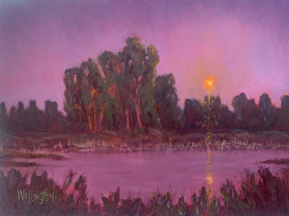 That Evening Light - Original Oil painting - 40 × 30 cm (15.7 × 11.8 in)