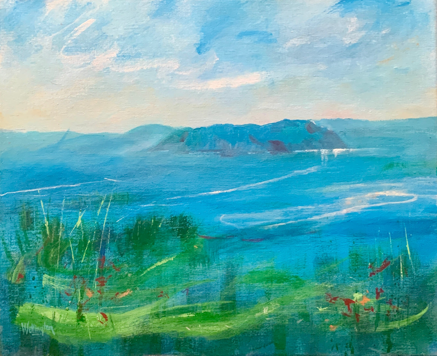 Skomer in Blue