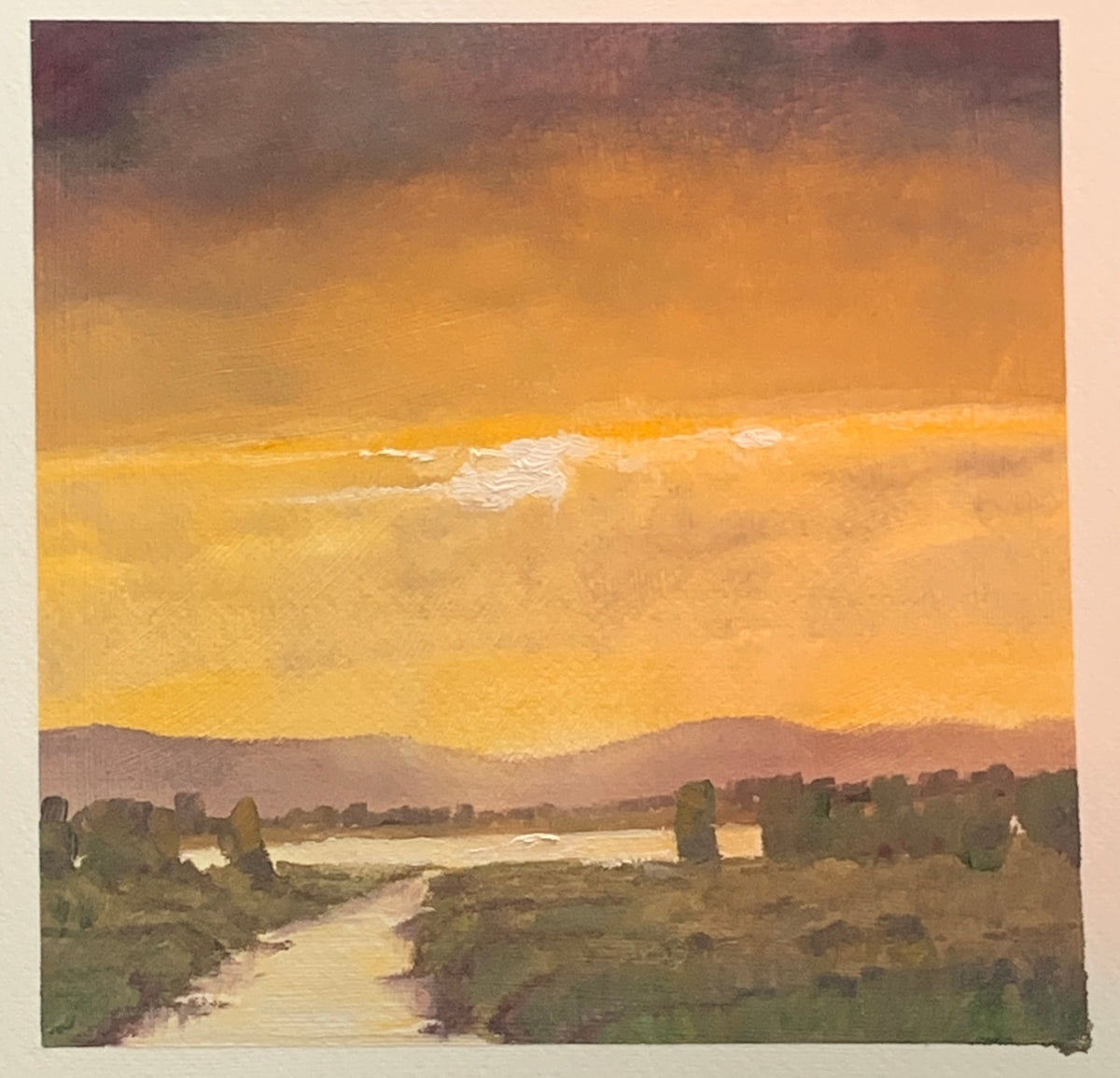 Golden Light, Camargue