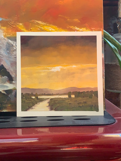 Golden Light, Camargue