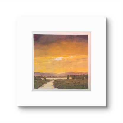 Golden Light, Camargue