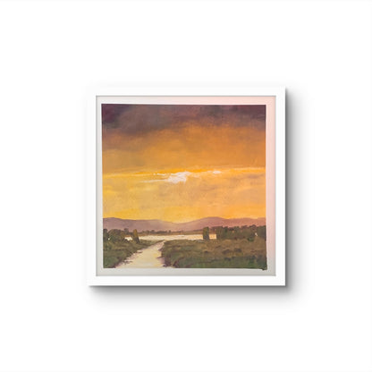 Golden Light, Camargue