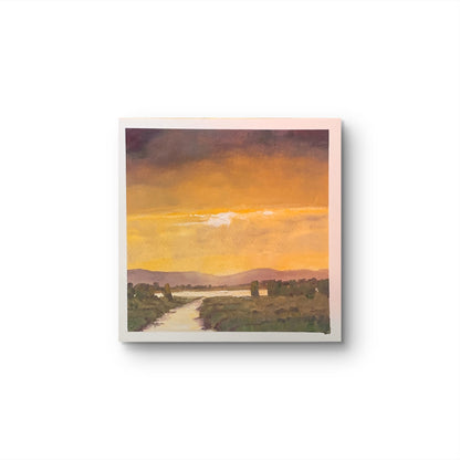 Golden Light, Camargue