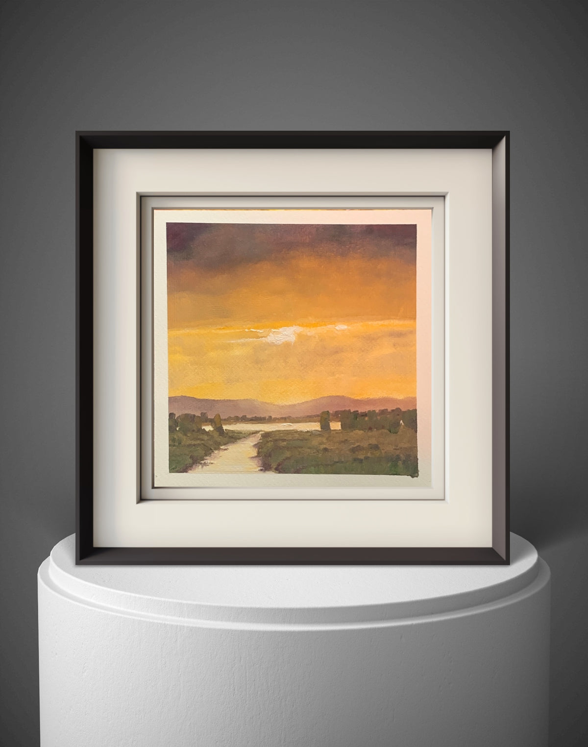 Golden Light, Camargue