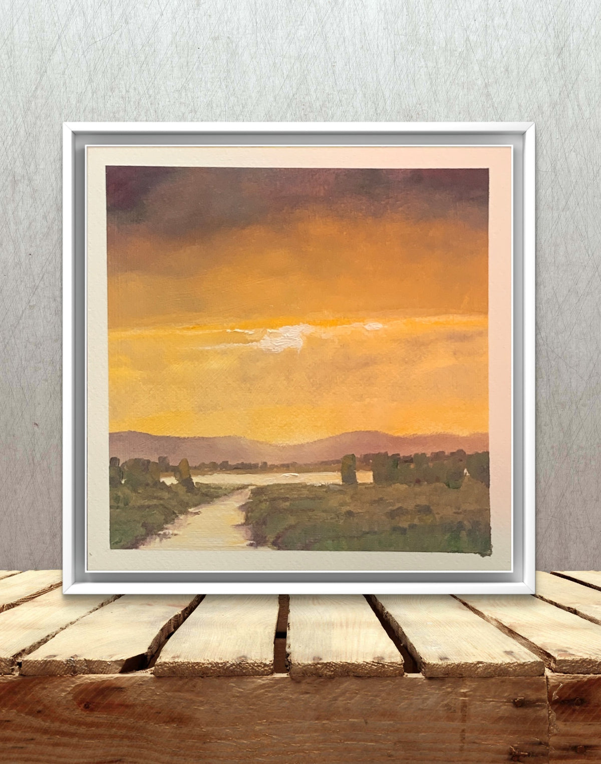 Golden Light, Camargue