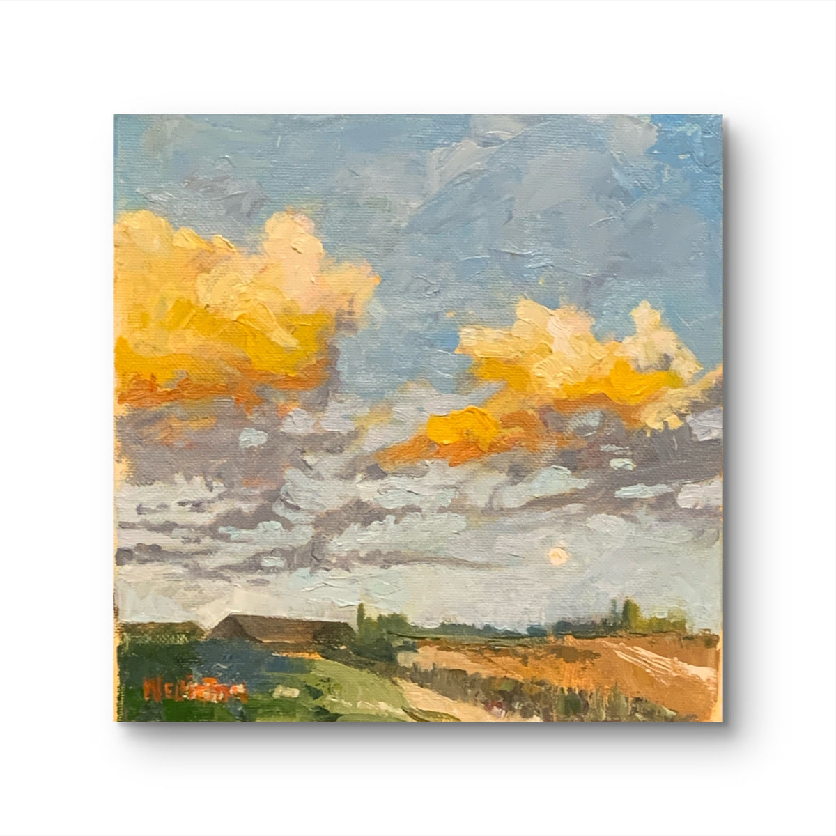 The Fields We Remember – Original Oil Painting, 20 × 20 cm