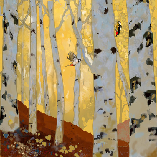 Woodpeckers in the Birch Forest – Square Giclée Fine Art Print | Woodland Birds | Nature Art by Peter Wellington